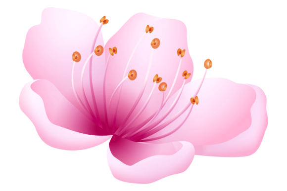 Pink Petal Flower Review: Realistic Floral Desi