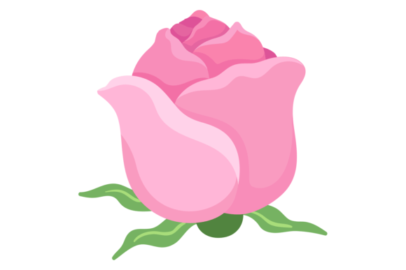 Pink Rose Bud Element. Botanical Floral Graphics and Illustrations