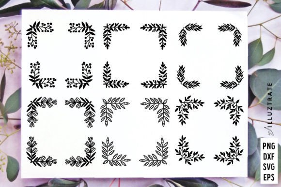 Square Frame SVG Cut Files Floral Graphics and Illustrations Review